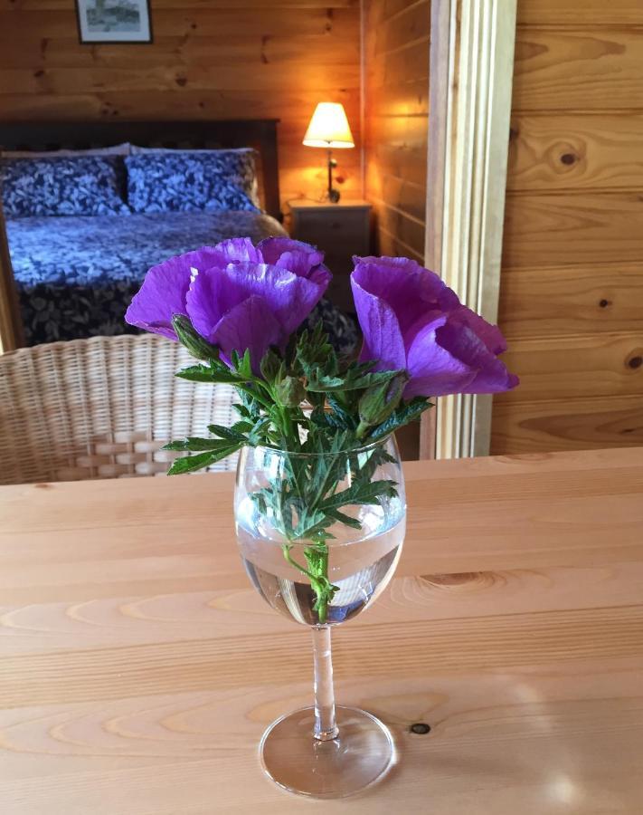 Emu Flat Molly'S Chase B&B 외부 사진